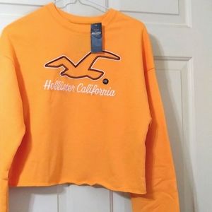 SOFT HOLLISTER CALIFORNIA SWEAT SHIRT
